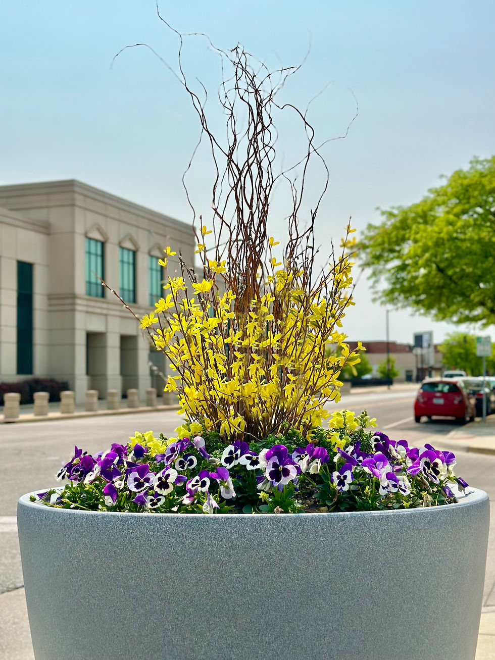 Thumbnail: Premium Flower Bowl - 4 Seasonal Plantings