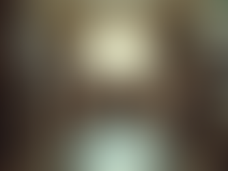 Efficient Junk Removal: Declutter Before Your Move