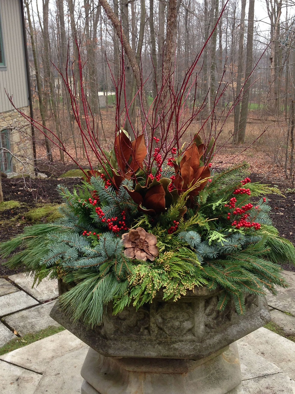 Thumbnail: Premium Flower Bowl - 4 Seasonal Plantings