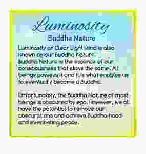 Buddhist teaching on luminosity
