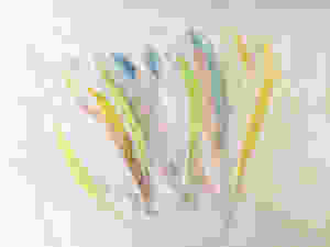 feathers for a bunting banner