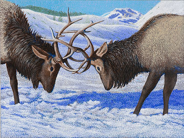 Sparring at Jackson Hole.jpg