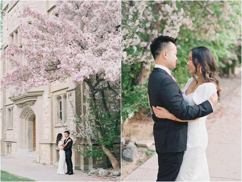 Spring Cherry Blossom Engagement Saskatoon Wedding Photographer
