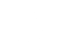 Untitled Design - 1 - Edited.png