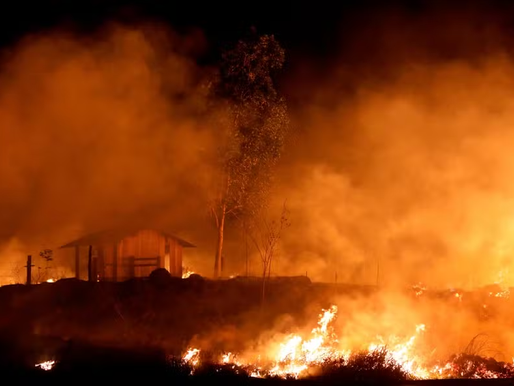 Fogo na Amazônia bate recorde, muda paisagem e expulsa moradores