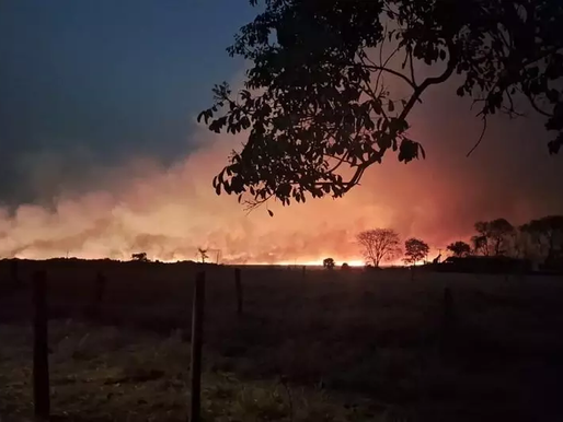 São Paulo continua com incêndios e capital paulista tem 'chuva' de fuligem