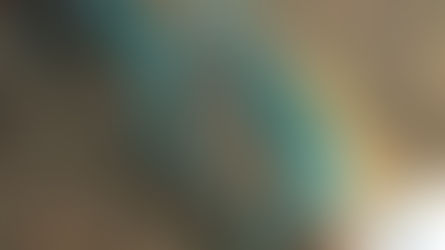 🌱 The Power of Connection in Childhood: Growing Whole, Not Just Up