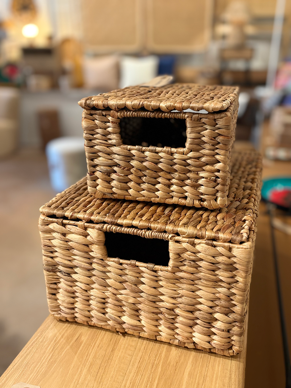 Paniers tressés avec couvercle