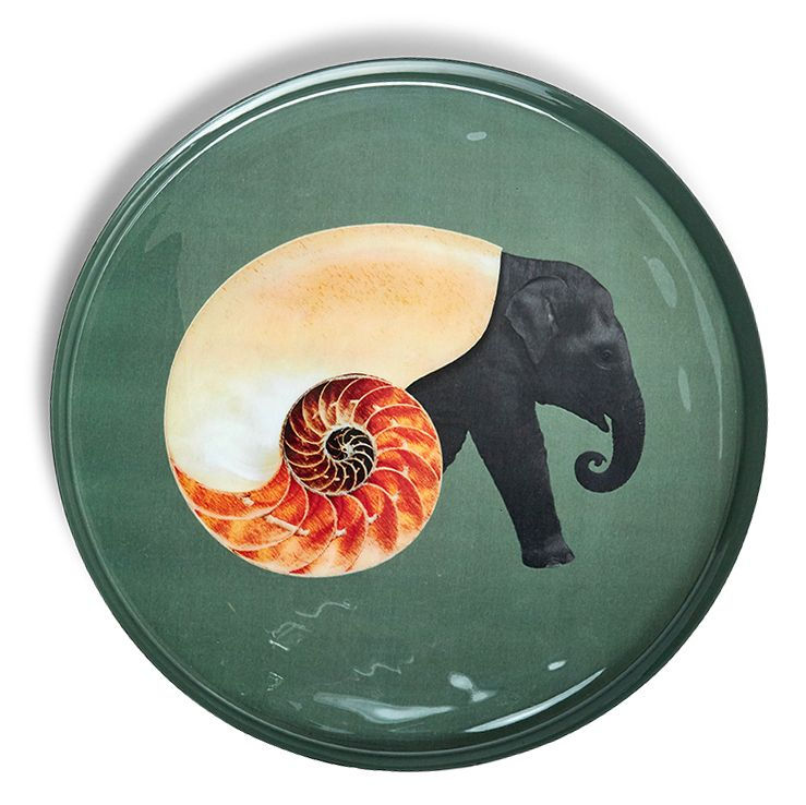 Shellephant 9 900F TTC