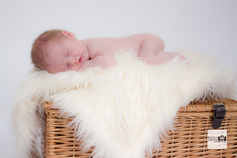 Portfolio Brill Photography