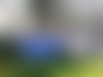 Παρέλαση της 28ης Οκτωβρίου
