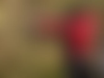 US Créteil Tir à l’arc : Henri Menoret champion départemental de la discipline Tir Campagne