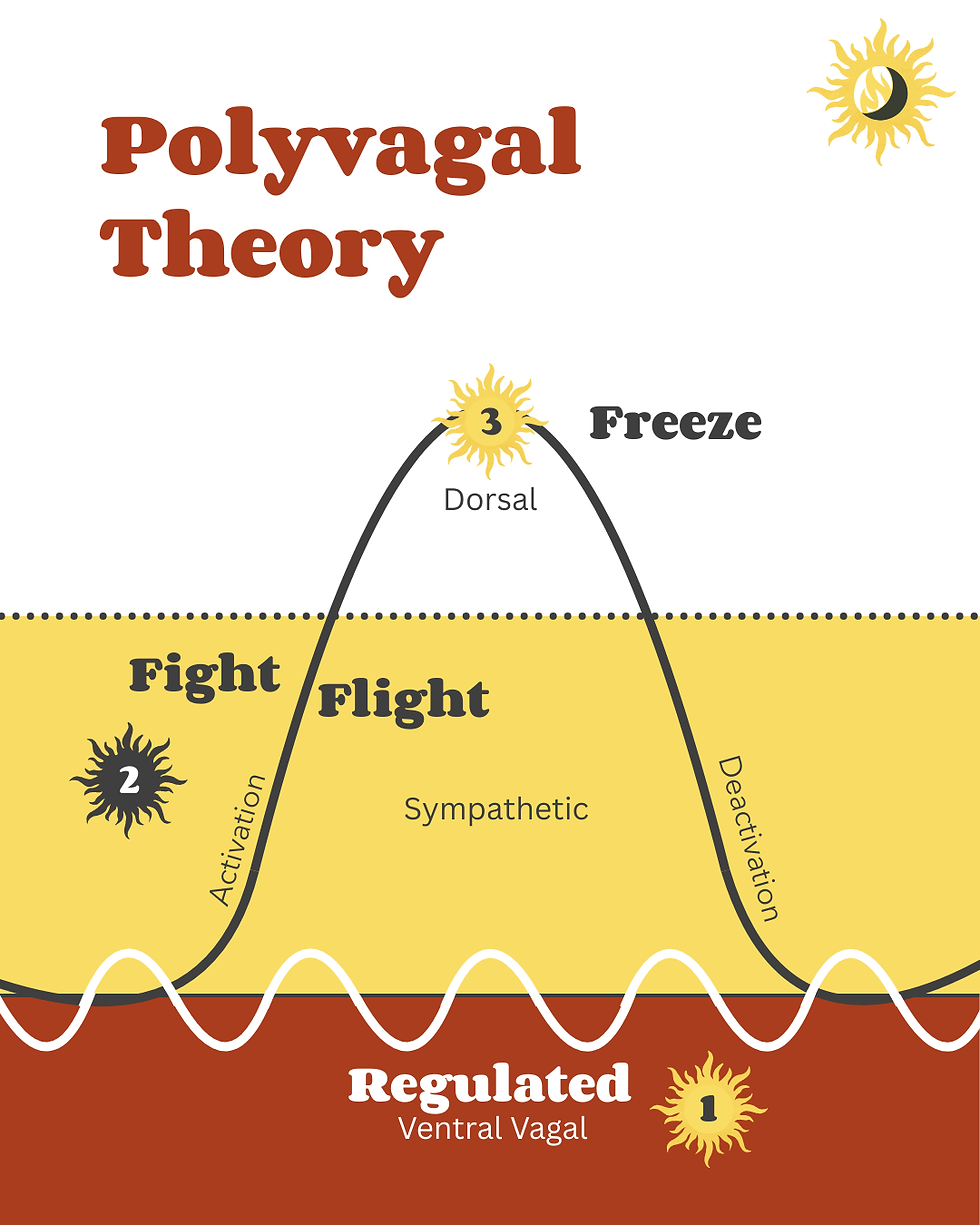 nervous system polyvagal theory graph