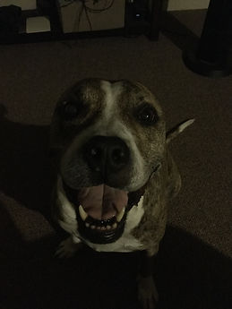 Edie