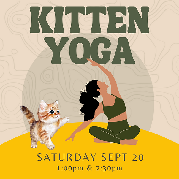 KittenYoga Class sept20.png