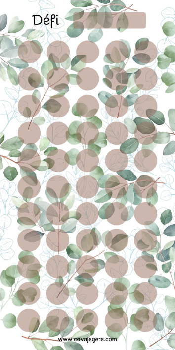 Miniature : Défis budget – Collection Eucalyptus