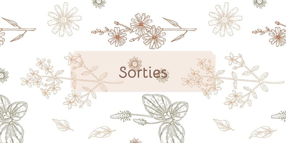 Miniature : Catégories – Collection Fleurs des champs