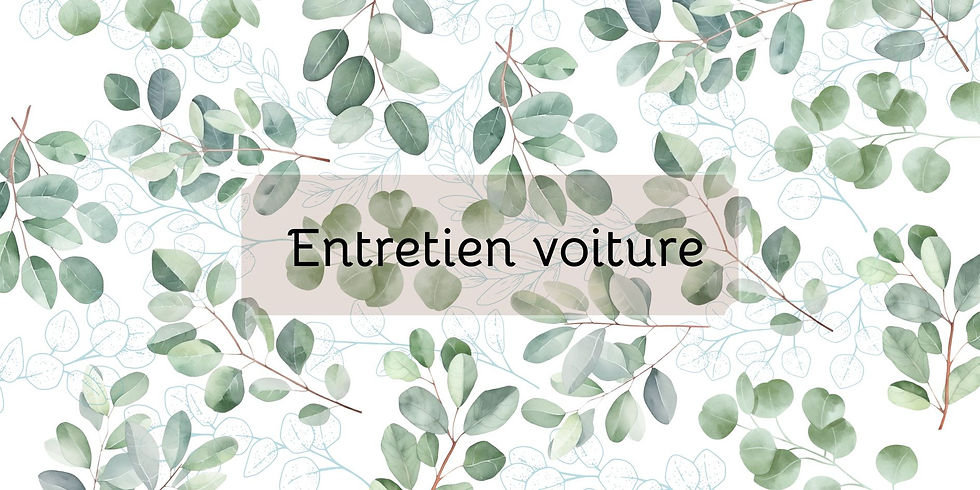 Miniature : Catégories – Collection Eucalyptus