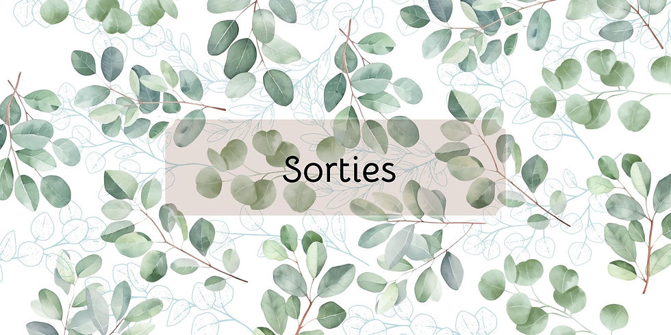 Miniature : Catégories – Collection Eucalyptus