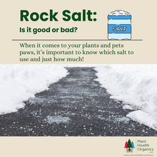 Rock Salt: Good or Bad?