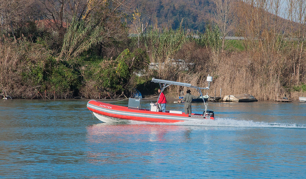 GOMMORIZZO 700