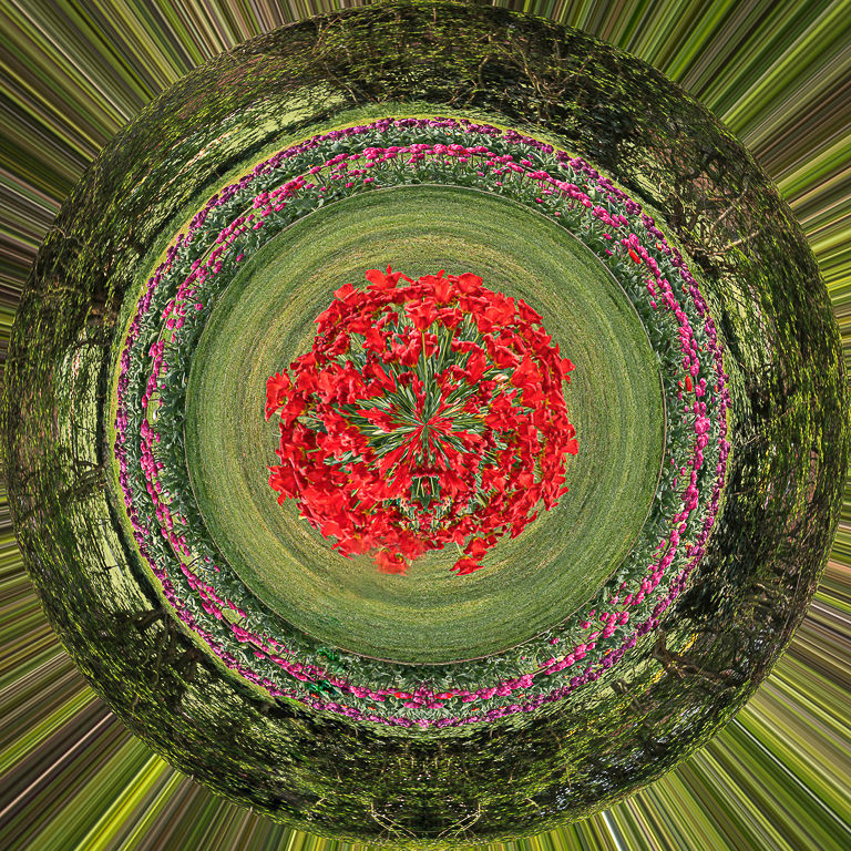Terre florale-Daoust Chantal-Royal Photon Arlon