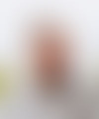 Obituary: Norbert Erwin Braun