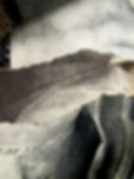 Shard_2000