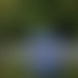 Миний хобби 