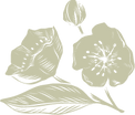 laurelFlowerOnly.png