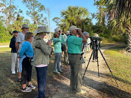 White Bird Newsletter February 2026