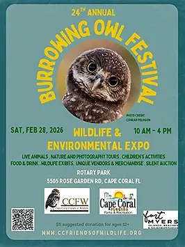 2026-Burrowing-Owl-Festival-Flyer-Thumb-11-3-25.webp