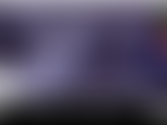 Wild Bird Newsletter December 2023