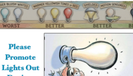 White Bird Newsletter April 2026