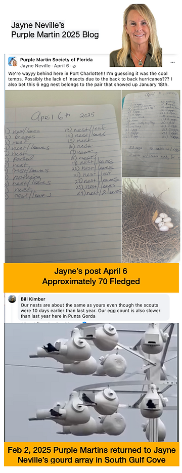 Screenshot 2025-10-14 at 4.16.04 PM.png