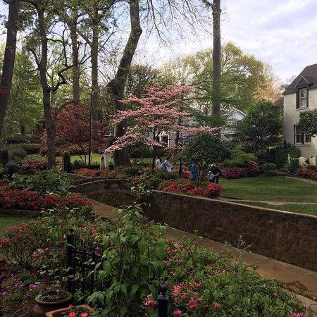 Photo of the Azalea District