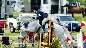 Saddling the Thoroughbred