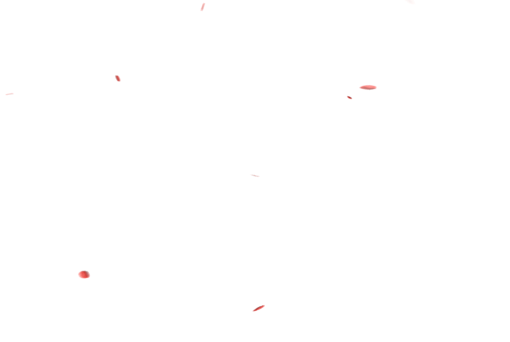 無限ループ赤薔薇散り_透過.gif