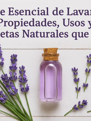 🌿 Aceite Esencial de Lavanda: Propiedades, Usos y 4 Recetas Naturales que Amarás