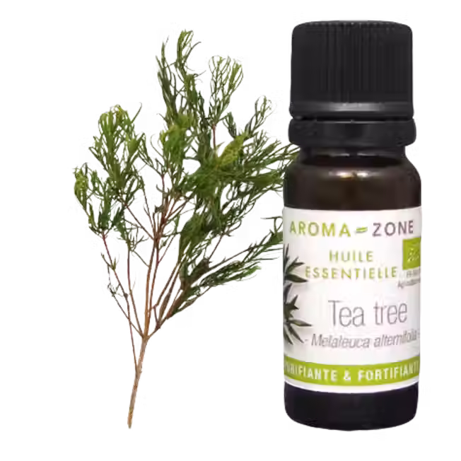 AZ Aceite esencial de Arbol de Te 10ml  Puro  Organico Colombia Tea tree oil