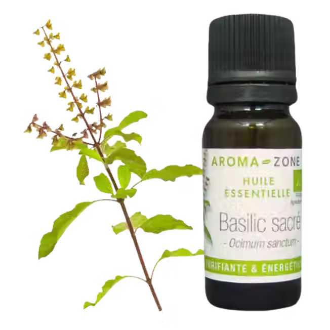 Aroma Zone Aceite de Basilic 10ml Basil sacre puroyorganico Colombia