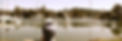 1519536_10154623616480254_2508205006024579691_o.jpg