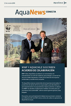 25 - 10 - 2019/ Nº 13