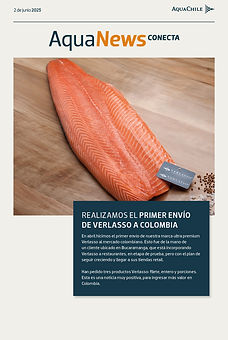 02 - 06 - 2023/ Nº 103