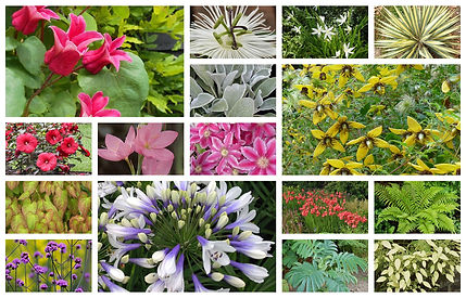 page plantes-6972adca5e034ce69515b71b10f27408.jpg