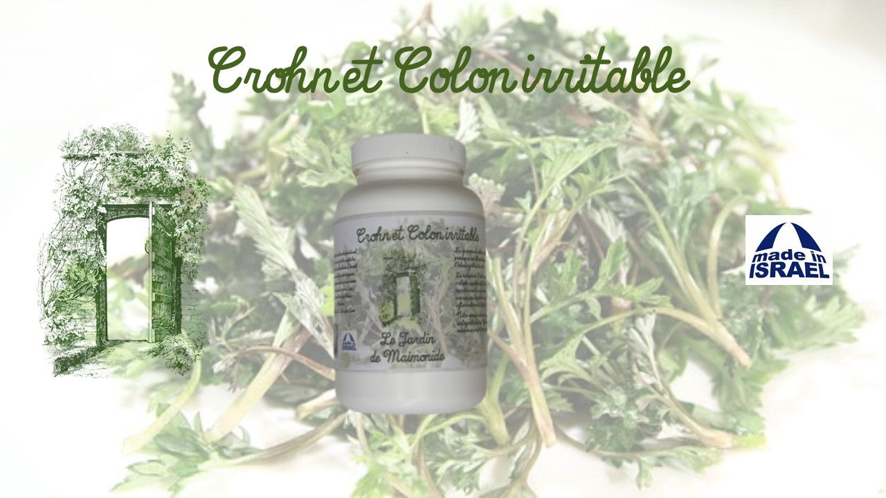 Maladie de Crohn et Colon Irritable  Boite de 100 gélules bio