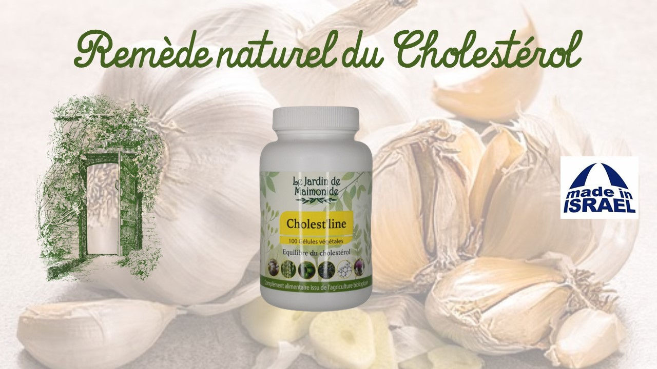 Cholesterol Boite de 100 gélules bio