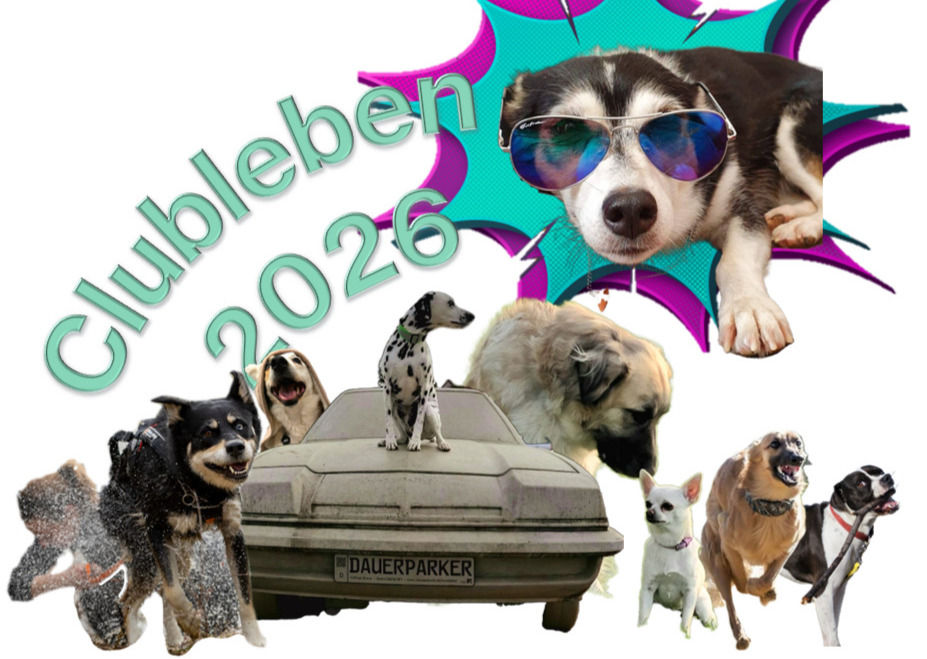 HCE Workshop zum Clubleben 2026 und HV