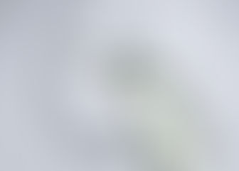 Should You Start a Staff Incentive Program?