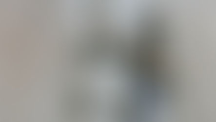 Blindfolded Lady Justice statue holding scales in one hand. Bronze finish, against a blurred light-textured background. Symbol of fairness.